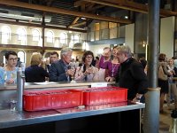 Voice Male 18.6.2016 029